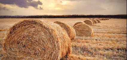 Охрана природы – дело общее